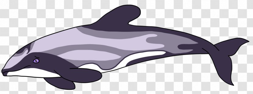 Maui's Dolphin Porpoise Cetaceans Clip Art - Fish - Hourglass Transparent PNG