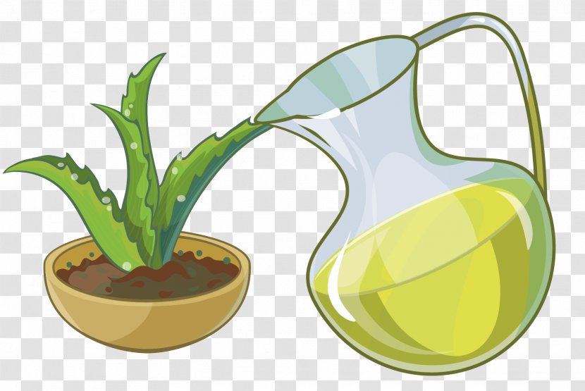 Aloe Succulent Plant - Ananas - Vector Cactus Transparent PNG