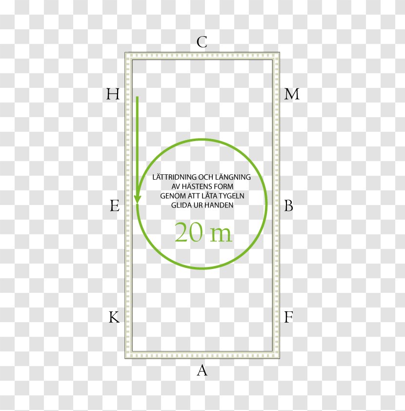 Paper Pakistan Line Angle Health Care - Label Transparent PNG