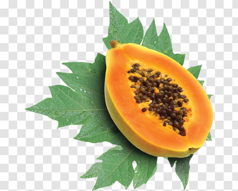 Green Papaya Salad Nutrient Nutrition Facts Label - Fruit Transparent PNG