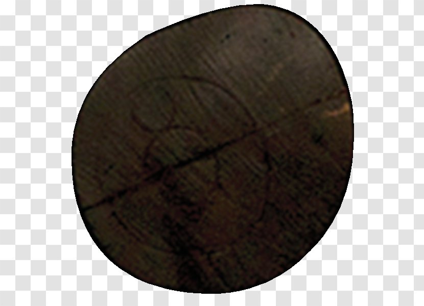 Wood /m/083vt Circle Transparent PNG