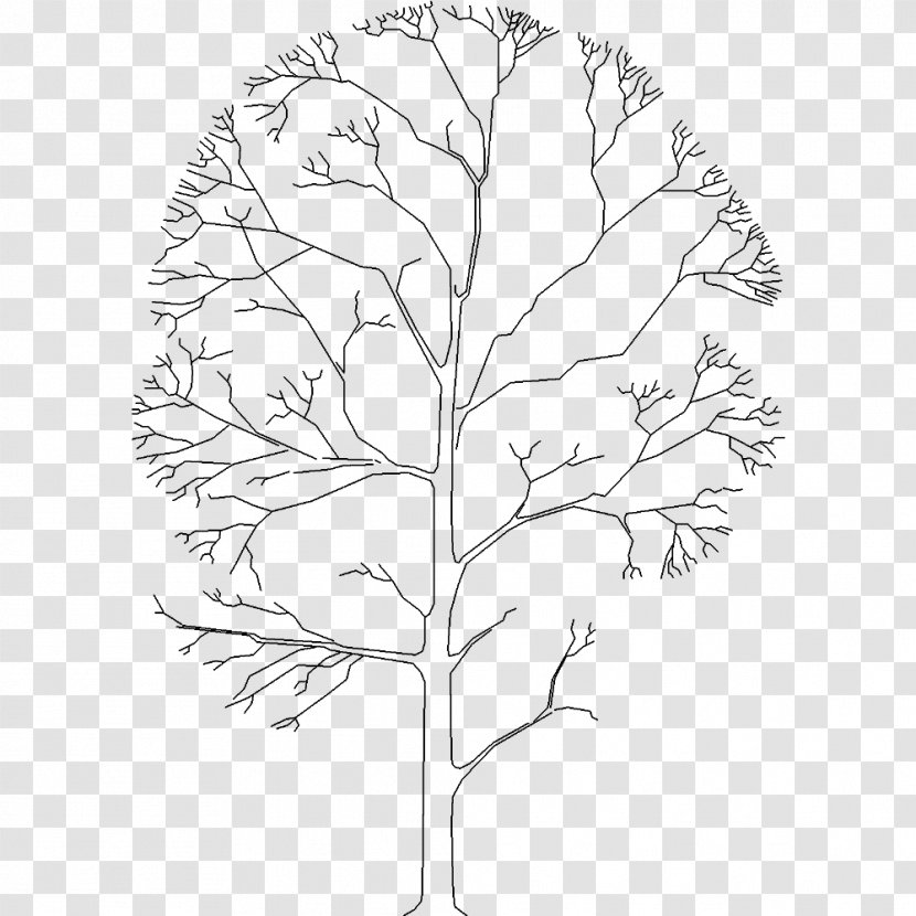 Twig Line Art Drawing Plant Stem Leaf - Flora Transparent PNG