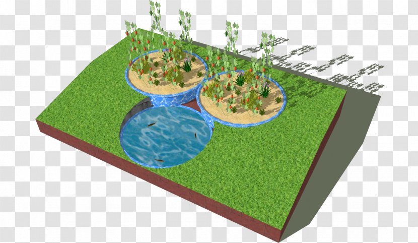 Backyard Aquaponics Garden Tilapia - Automation Transparent PNG