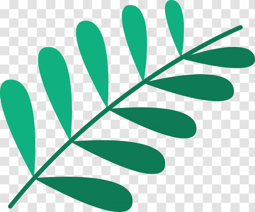 Leaf Plant Stem Green M-tree Line Transparent PNG