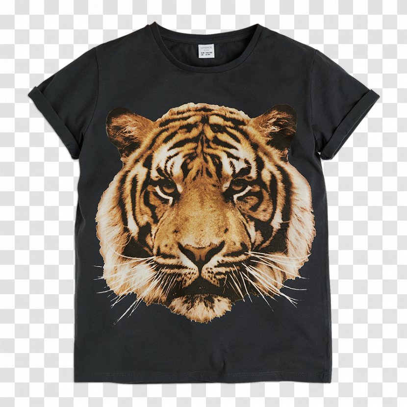 Baby Tigers Symbol Bengal Tiger Attack South China - Beauty Compassionate Printing Transparent PNG