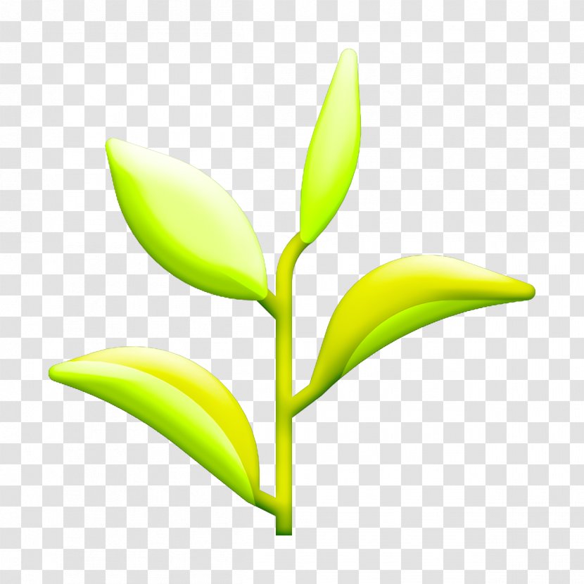 Green Tea Icon Plant Natural Scent - Yellow - Stem Flower Transparent PNG