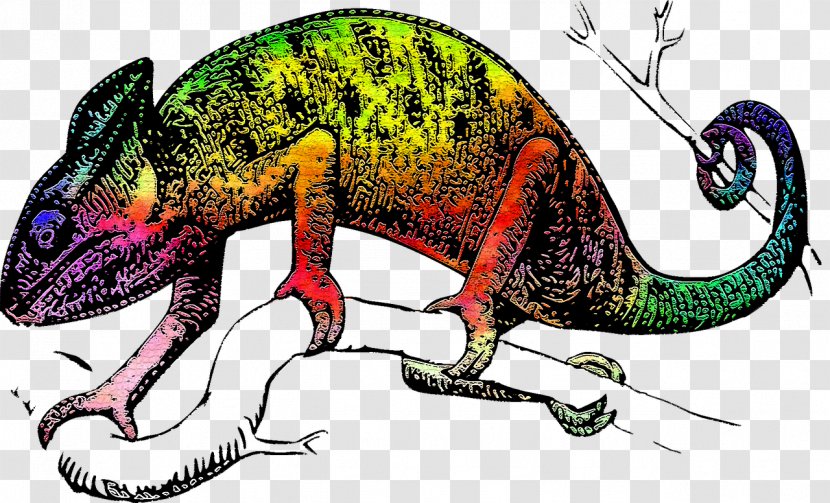Chameleons Lizard Reptile Common Iguanas T-shirt - Dinosaur - Colored Chameleon Transparent PNG