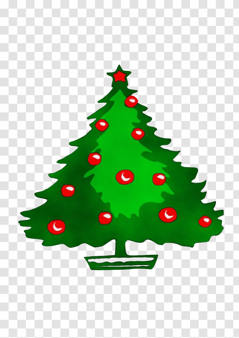 Christmas Tree Line Drawing - Watercolor - Spruce Eve Transparent PNG
