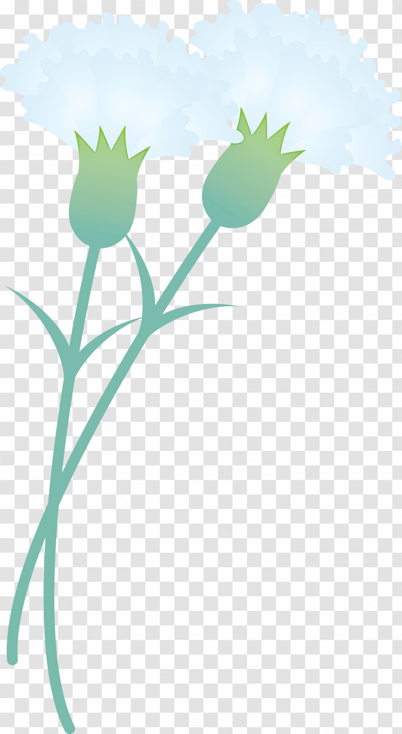 Mothers Day Carnation Mothers Day Flower Transparent PNG