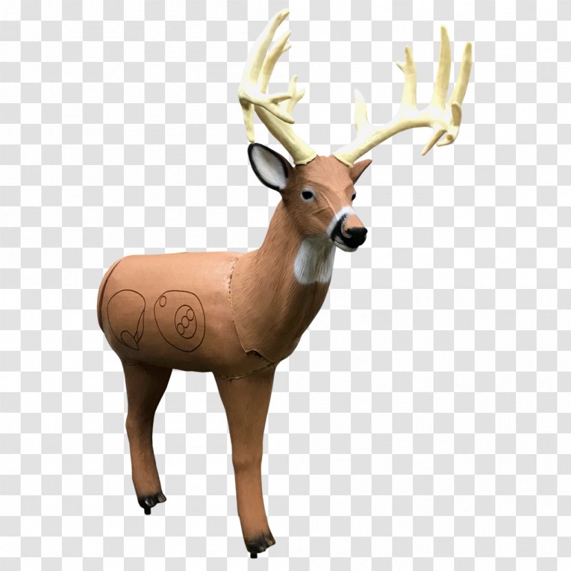 Reindeer Target Archery White-tailed Deer Shooting - Point Transparent PNG