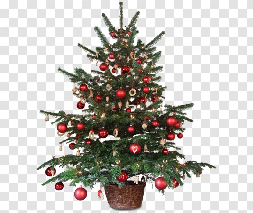 Christmas Decoration Animated Film Tree - Conifer Transparent PNG