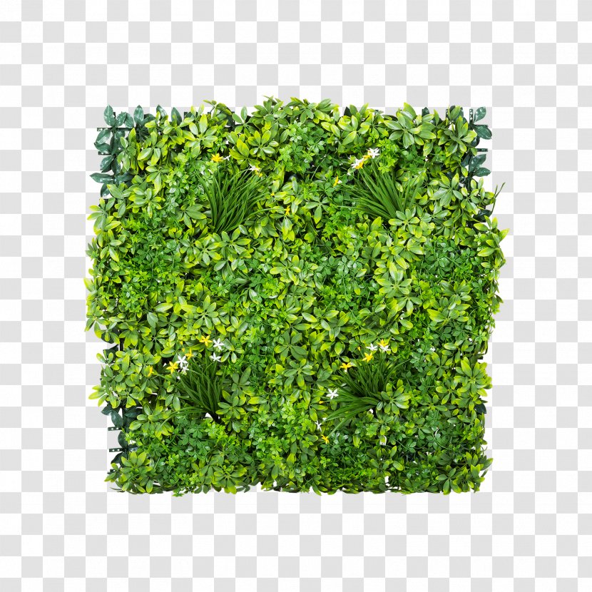Gardening Shrub Green Wall Lawn - Flower - Garden Transparent PNG