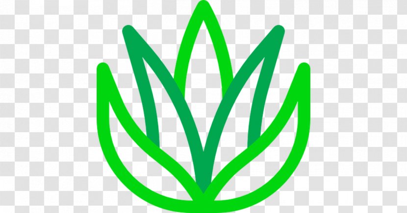 Aloe Vera - Plant Stem - Leaf Transparent PNG