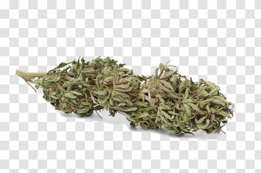 Cannabis Cultivation Tetrahydrocannabinol Hemp Bud - Herb - Leaves Transparent PNG