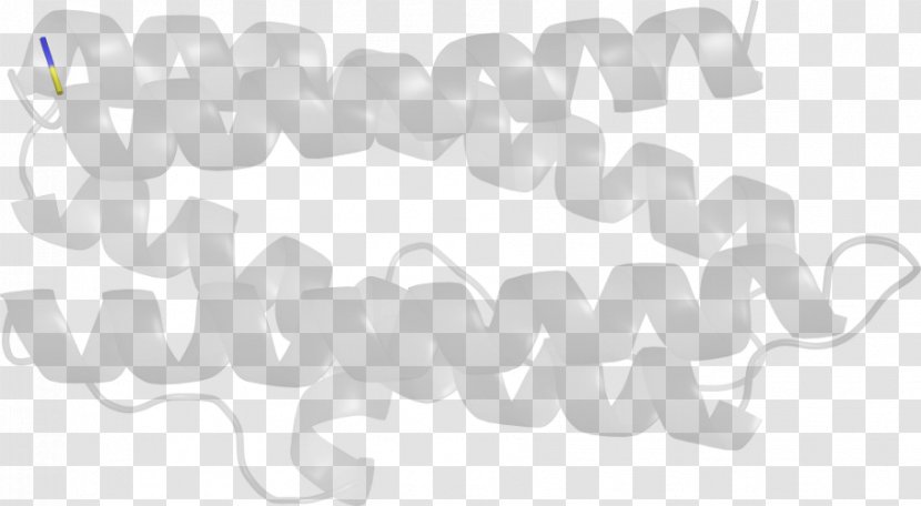 Rectangle - White - Angle Transparent PNG