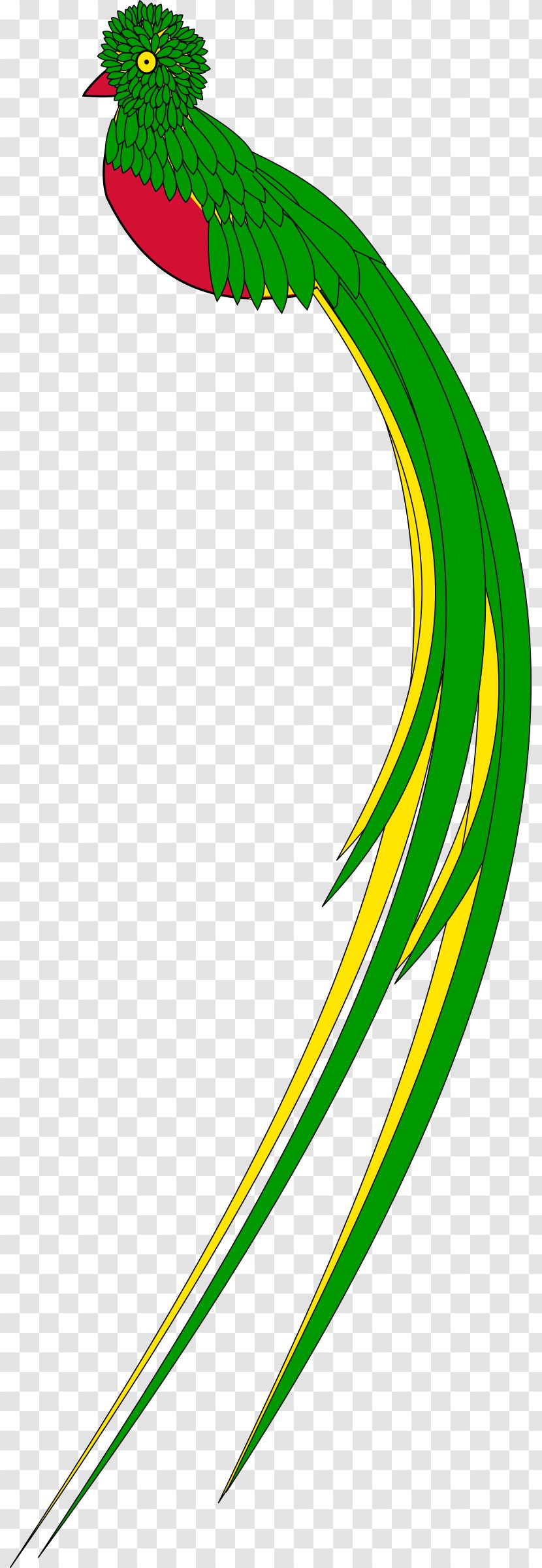 Guatemala Quetzal Clip Art - Kiwi Bird Transparent PNG