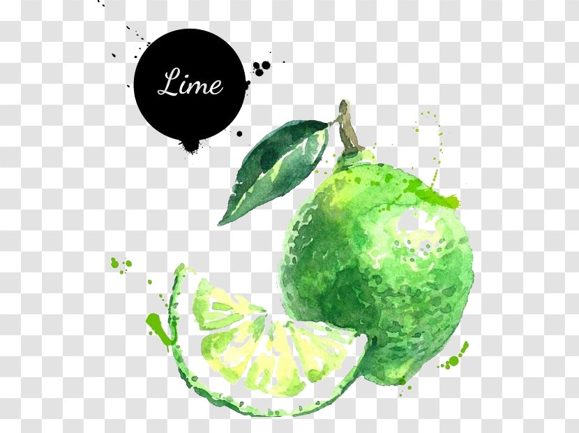 Lemon-lime Drink Key Lime Illustration - Citron Transparent PNG