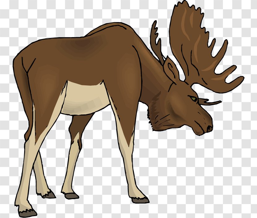 Moose Free Content Elk Clip Art - Neck - Wildlife Clipart Transparent PNG