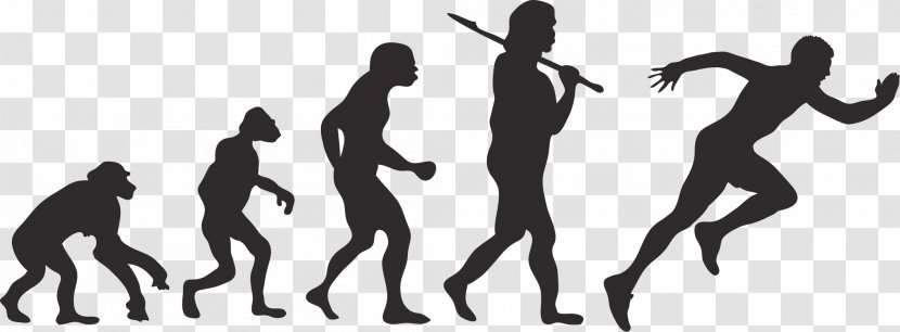 Human Evolution Homo Sapiens Darwinism - Enterprise Rallying Cry Transparent PNG
