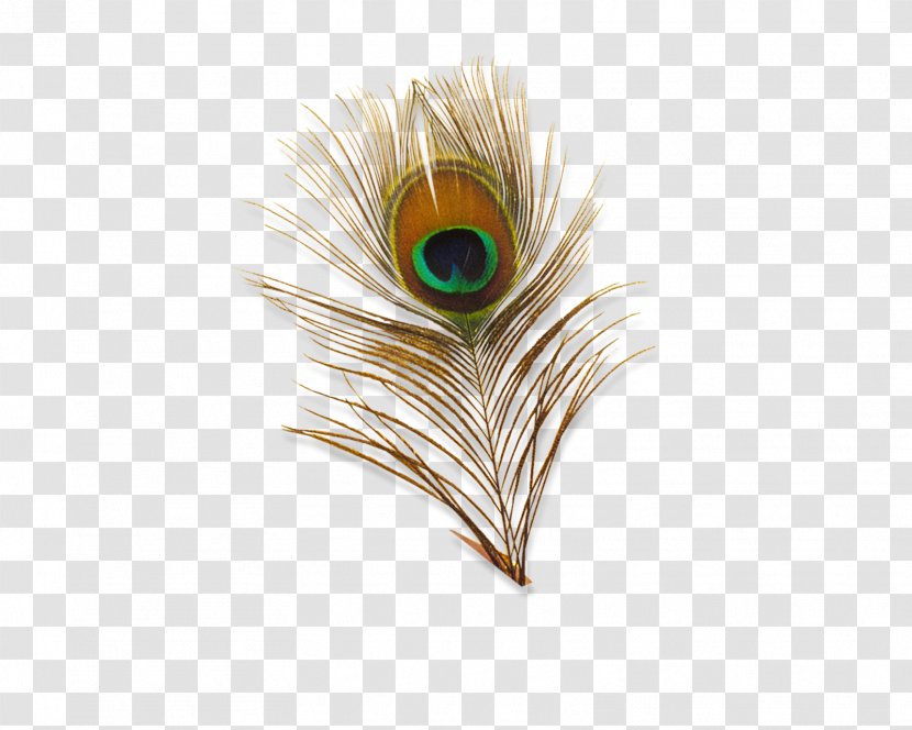 Bird Feather Peafowl Clip Art - Eye - Peacock Transparent Image Transparent PNG