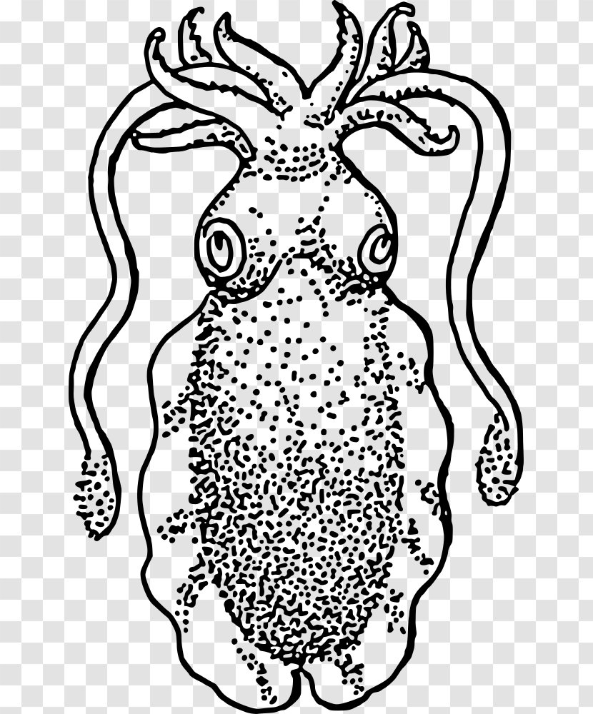 Squid Cuttlefish Drawing Clip Art - Watercolor Transparent PNG