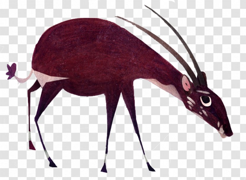 Saola Vietnam Endangered Species Animal Drawing - Asian Elephant - Antelope Illustration Transparent PNG