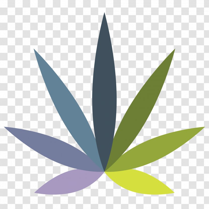 Cannabis Leaf Background - Plant - Perennial Hemp Family Transparent PNG