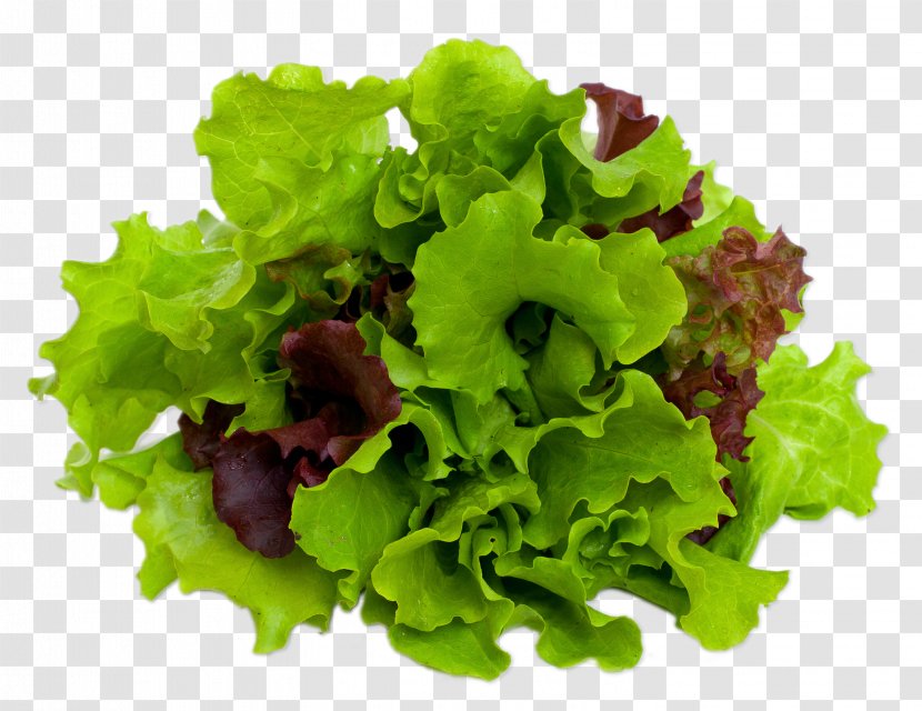 Mesclun Caesar Salad Lettuce Leaf Vegetable - Superfood Transparent PNG