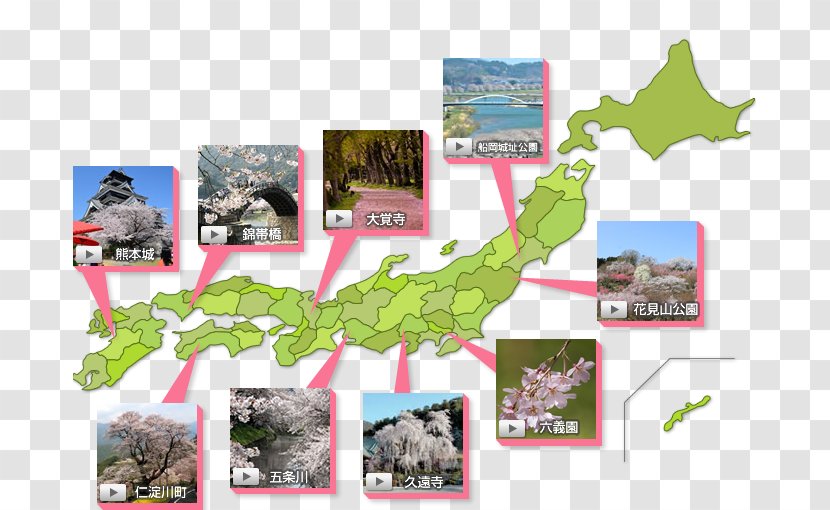 Kyoto Product Map Japanese People - Flora - Special Topic Transparent PNG