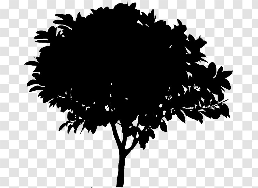 Clip Art Silhouette Openclipart Vector Graphics Tree - Black - Document Transparent PNG
