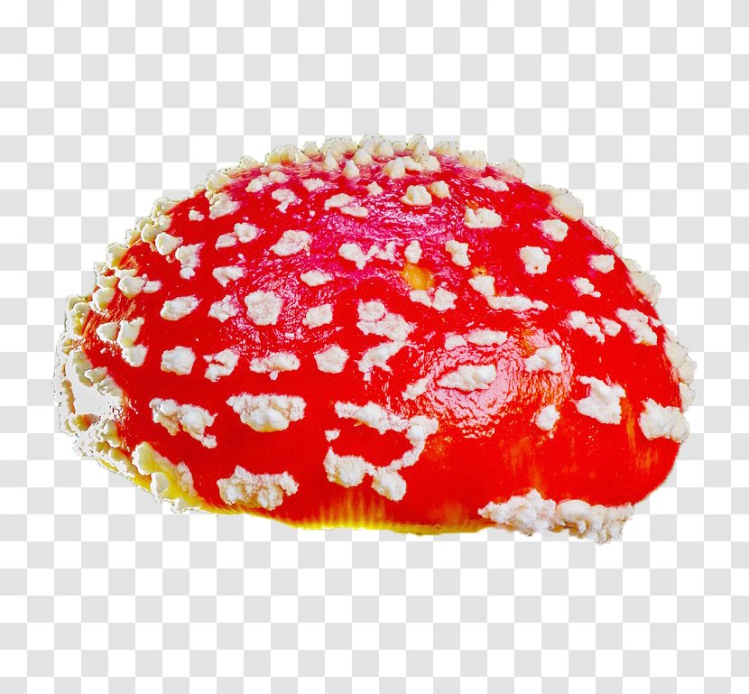 Amanita Muscaria Agaric Mushroom Fungus Boletus Calopus Transparent PNG