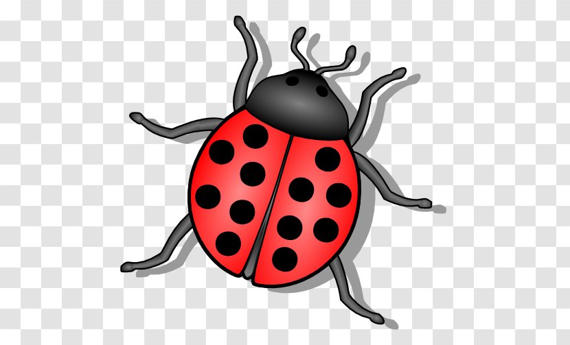 Beetle Ladybird Drawing Clip Art - Free Content - Ladybug Cliparts Transparent PNG