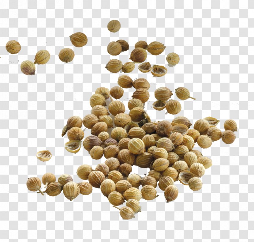 Coriander Seed Food Cumin Yogi Tea - Basil - Seeds Transparent PNG