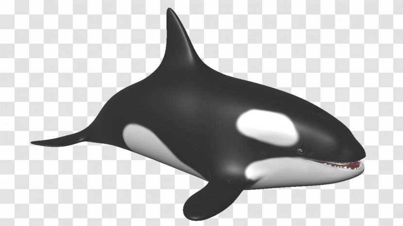 Porpoise Killer Whale Marine Mammal Dolphin Transparent PNG