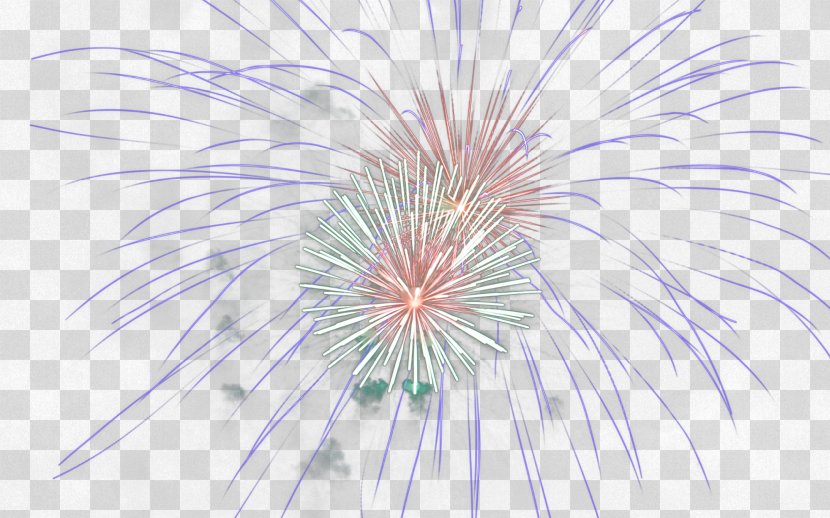 Symmetry Petal Pattern - Plant - Fireworks Transparent PNG