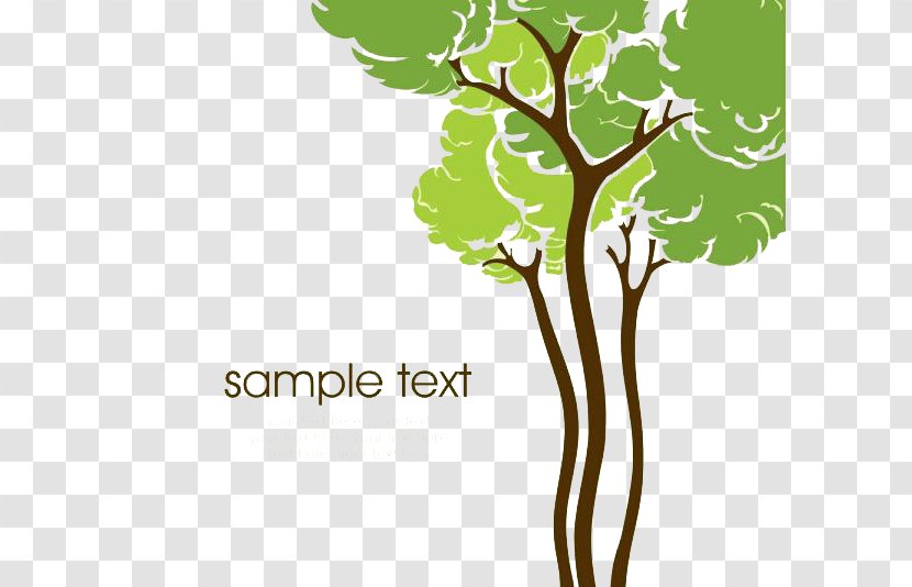 Tree Cartoon Drawing Illustration - Leaf - Hand Drawn Transparent PNG