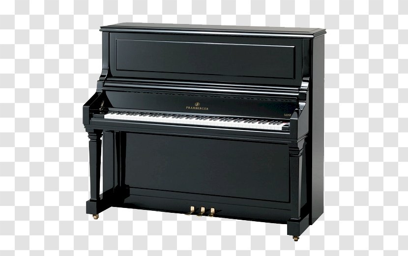 Digital Piano Electric Player Celesta Musical Keyboard Transparent PNG