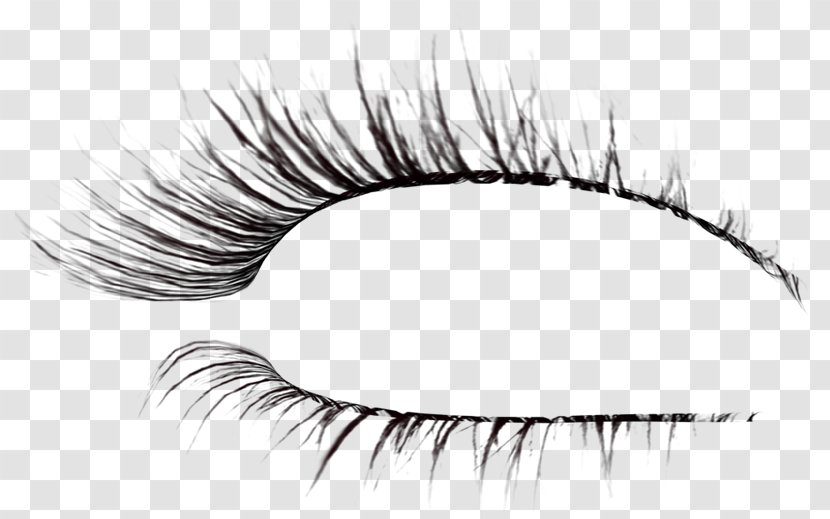 Eyelash Extensions Brush Drawing - Heart Transparent PNG