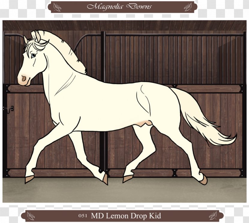 Mane Stallion Foal Mustang Pony - Lemon Drop Transparent PNG
