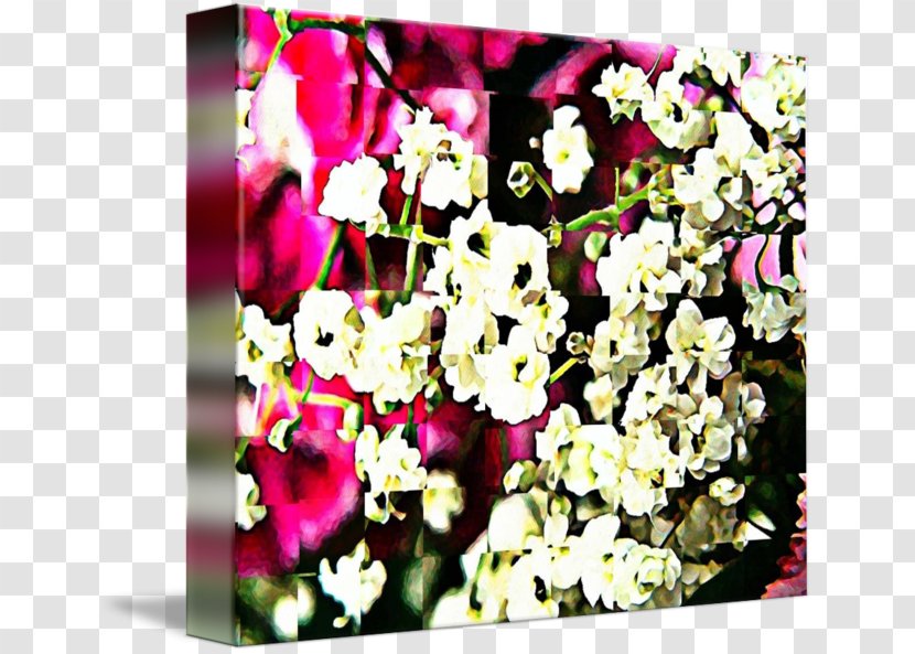 Cut Flowers Floristry Floral Design - Blossom - Baby Breath Transparent PNG