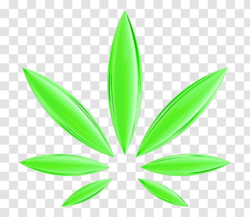 Cannabis Leaf Background - Tetrahydrocannabinol - Flower Botany Transparent PNG