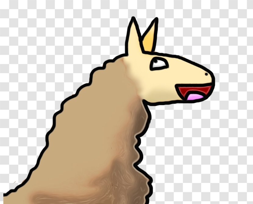 Llama Cartoon - Pet - Fawn Drawing Transparent PNG