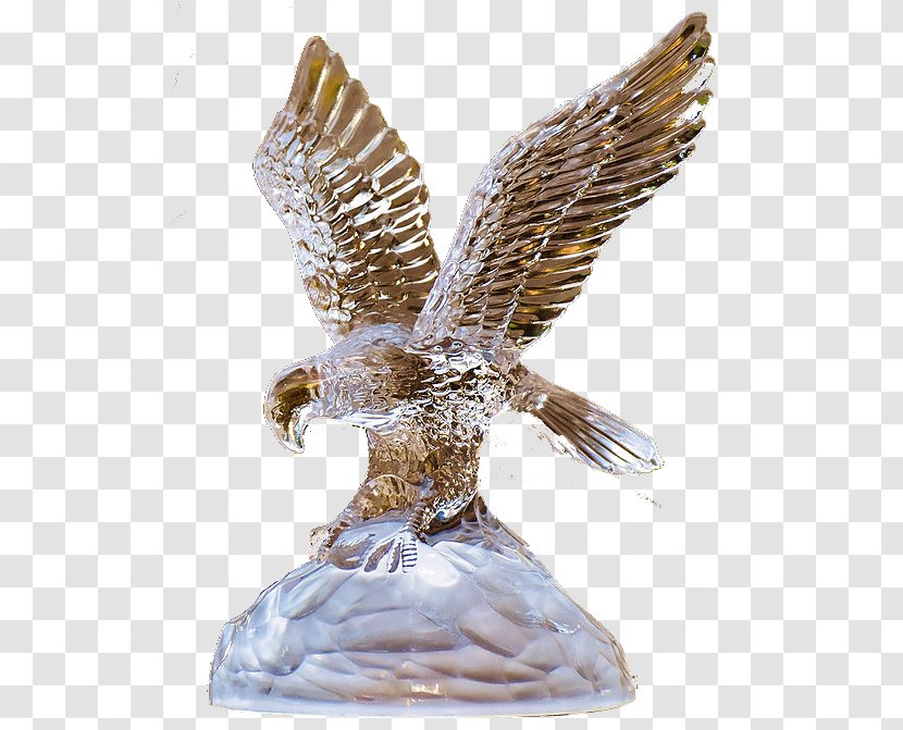 Bird Sculpture Art - Hawk - Glass Transparent PNG