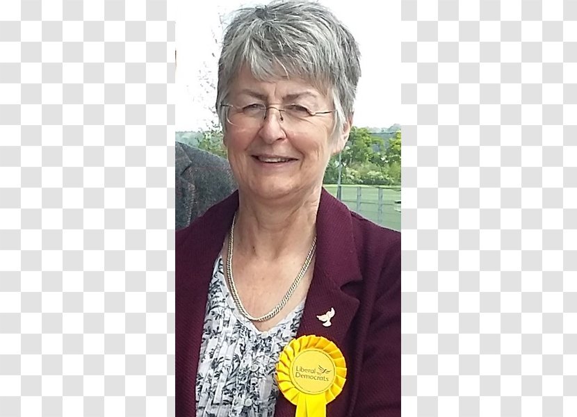 Shropshire Council Liberal Democrats Ludlow Councillor Oswestry - Rent Like A Champion Transparent PNG