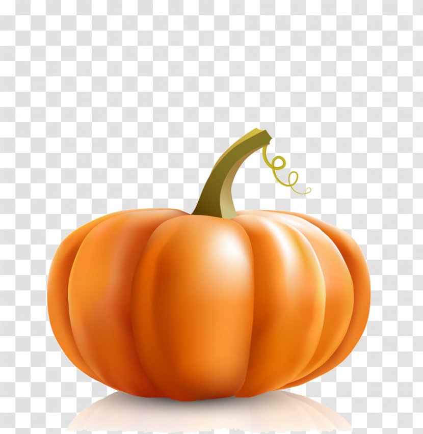 Calabaza Pumpkin Vegetable Halloween - Squash Transparent PNG