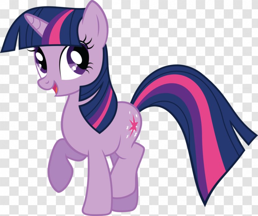 Twilight Sparkle Rarity Pinkie Pie Pony Rainbow Dash - Flower Transparent PNG