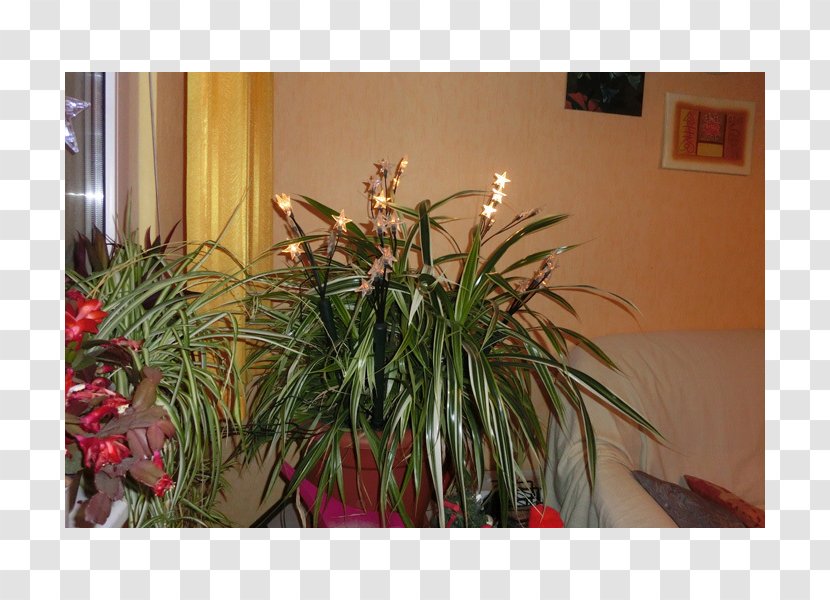 Floral Design Flowerpot Houseplant Transparent PNG