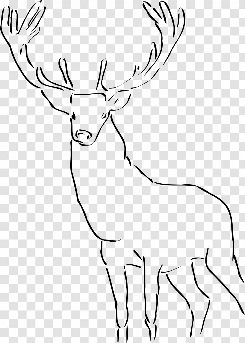 Deer Drawing Clip Art - Fauna Transparent PNG
