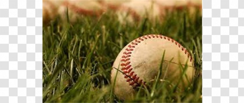 Baseball Field Wrigley MLB Softball - Pitcher - League Transparent PNG