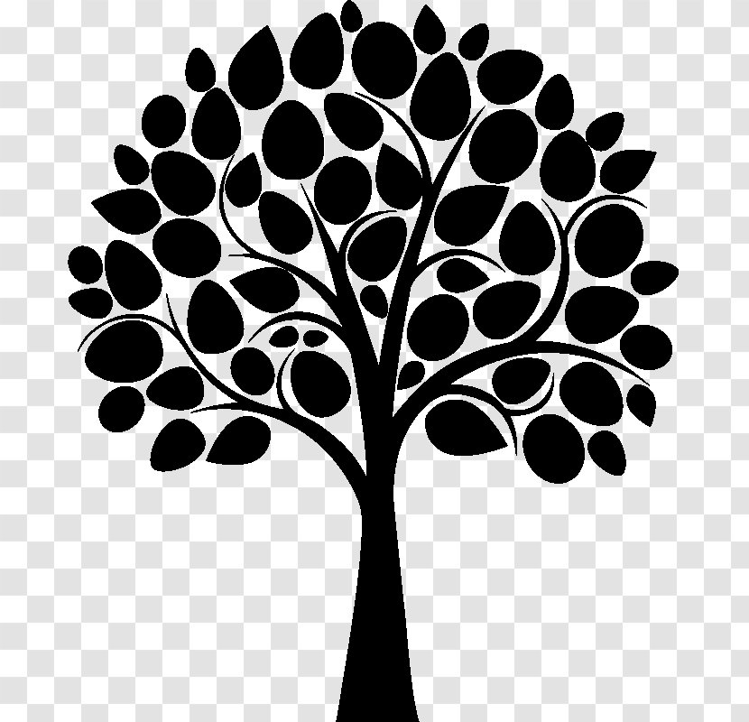 Branch Family Tree Transparent PNG